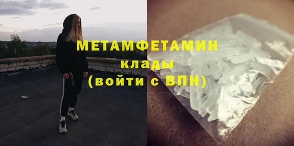прущие грибы Кукмор