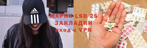прущие грибы Кукмор