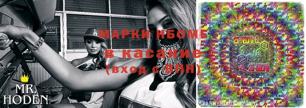 прущие грибы Кукмор