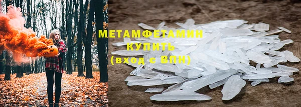 прущие грибы Кукмор