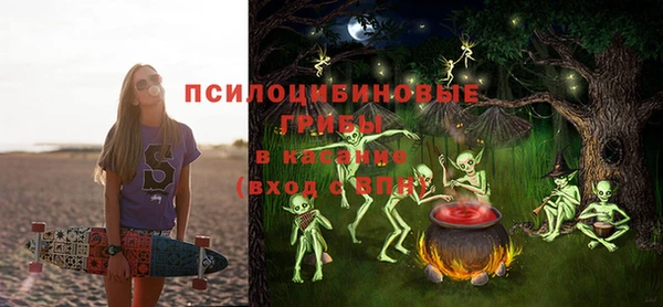 прущие грибы Кукмор