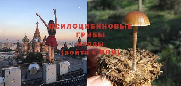 прущие грибы Кукмор