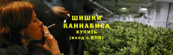прущие грибы Кукмор