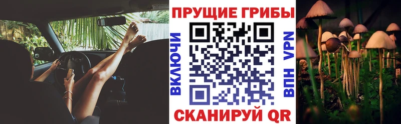 Псилоцибиновые грибы ЛСД  Сальск 