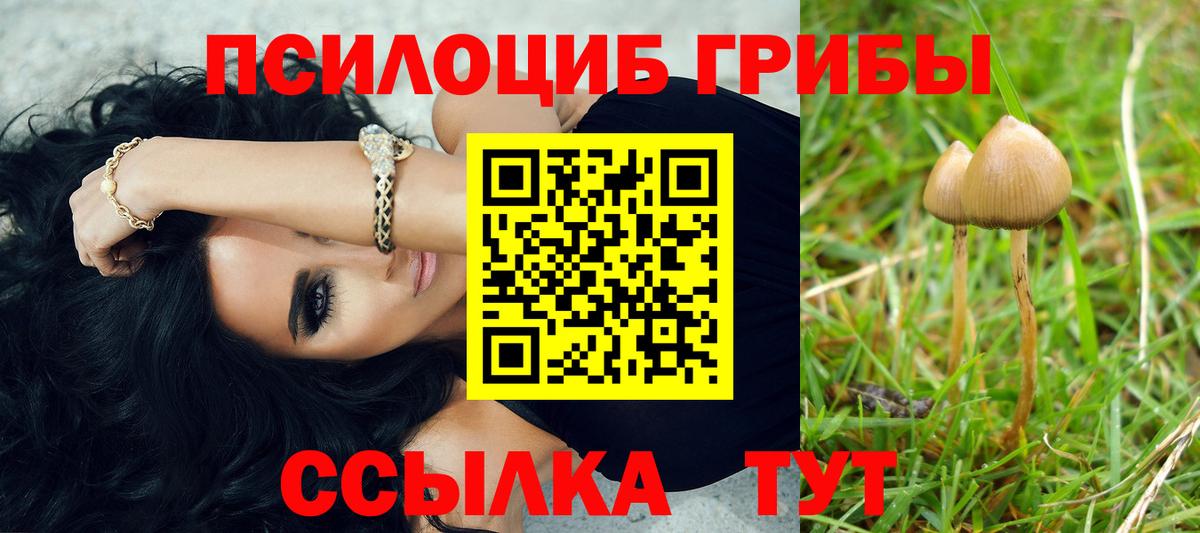 Галлюциногенные грибы GOLDEN TEACHER Сальск