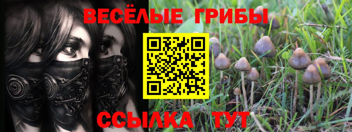 Галлюциногенные грибы ЛСД  Вход с VPN  Сальск 